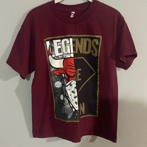 Vintage Bulls Tee